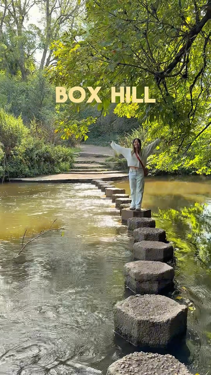 Scenic London Hikes Feature Box Hill & Stepping Stones