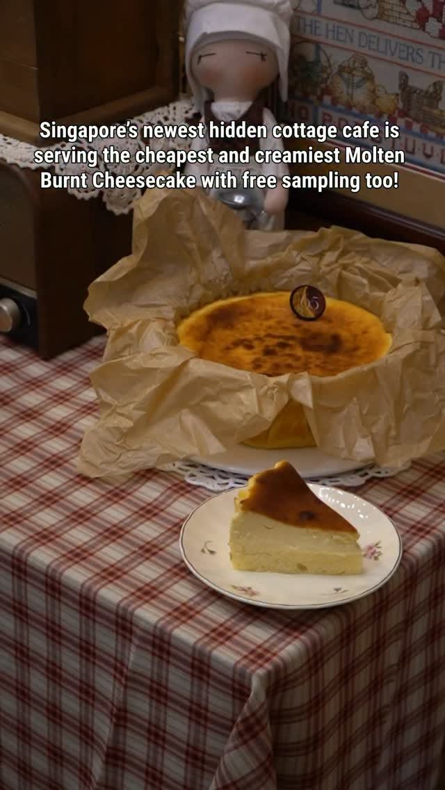 Plus65 Cheesecake Offers Unique Sponge Cake Base