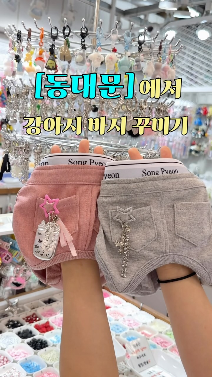 Dog-Friendly Shopping in Seoul's Dongdaemun Market