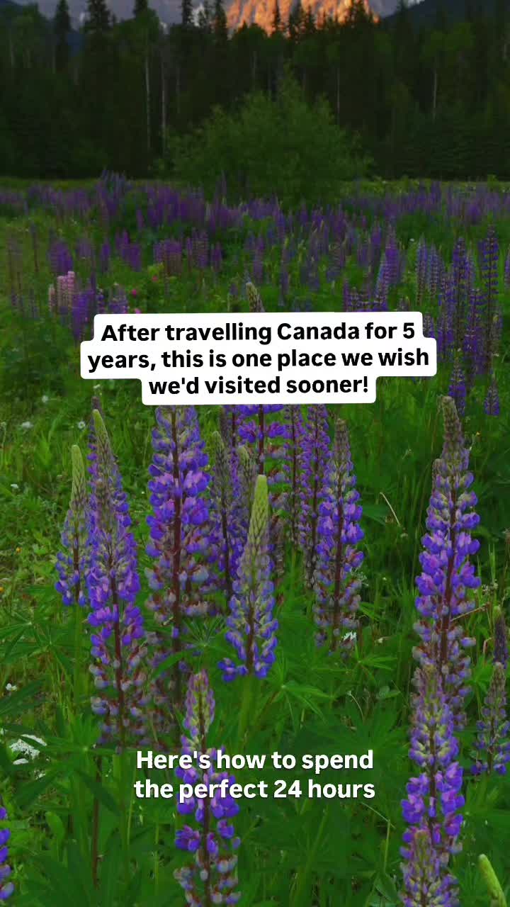 Mount Robson Provincial Park's Natural Wonders