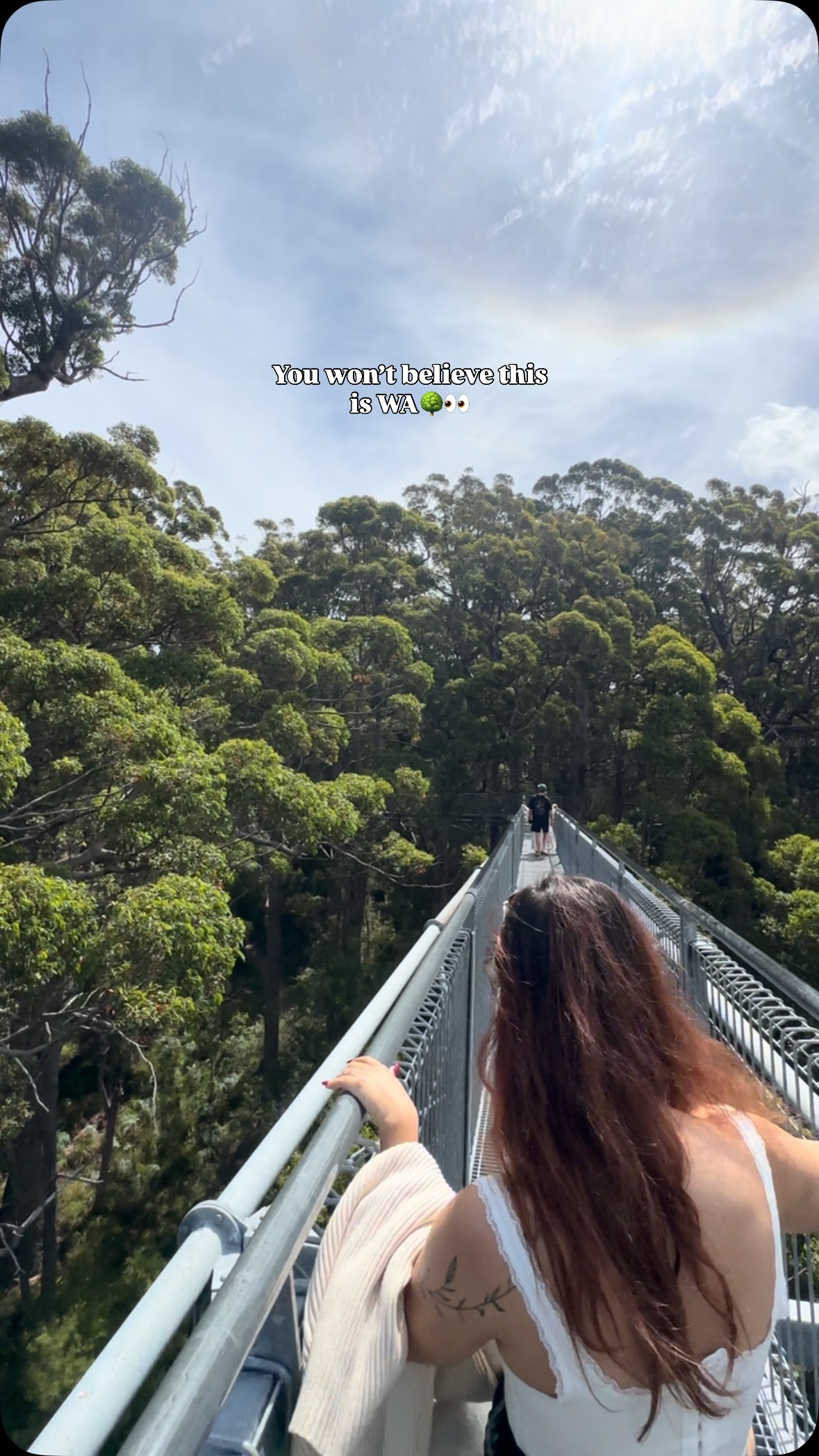 Giant Trees of Western Australia's Walpole