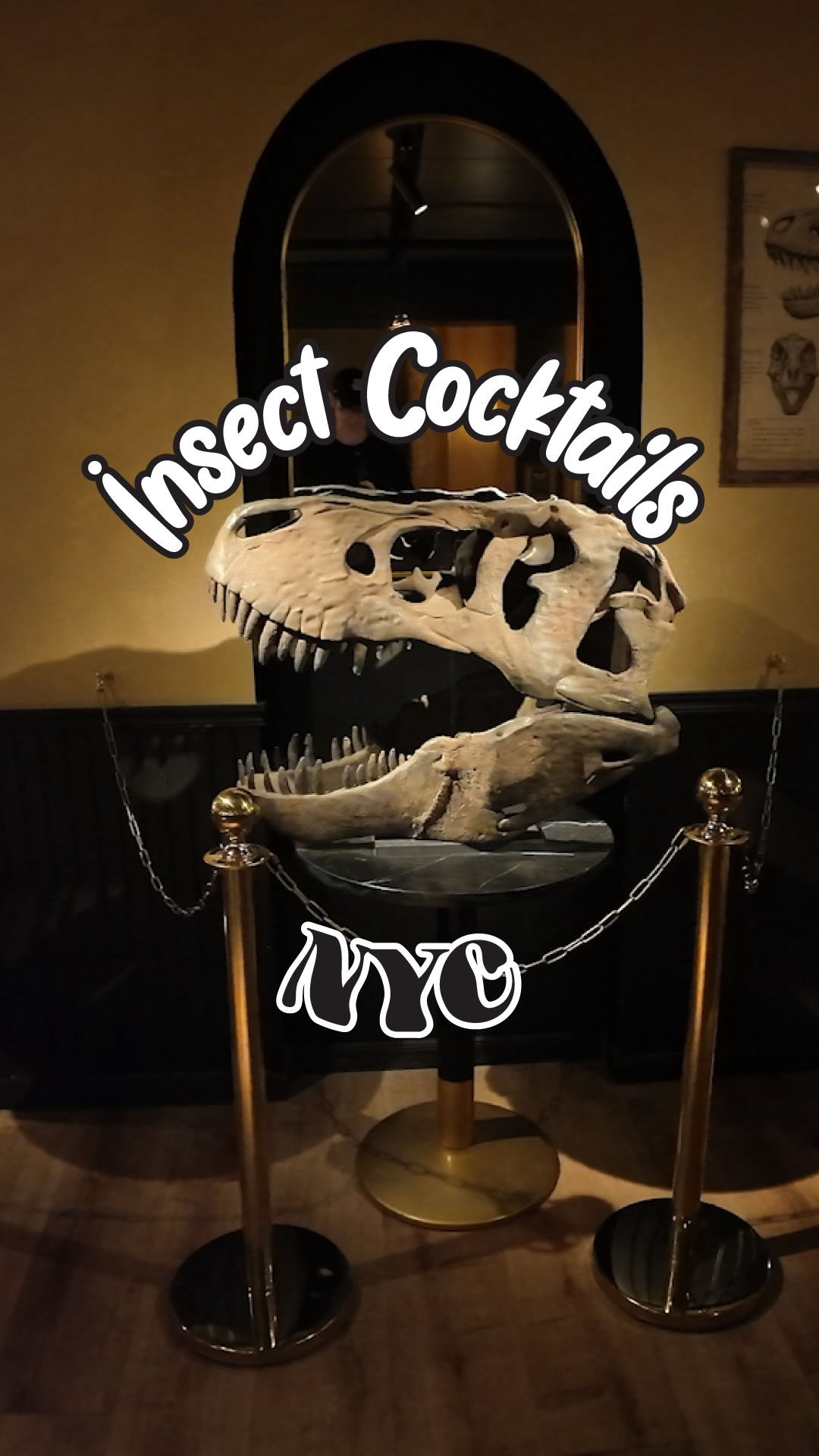 Natural History Themed Cocktails At Bushwick Bar