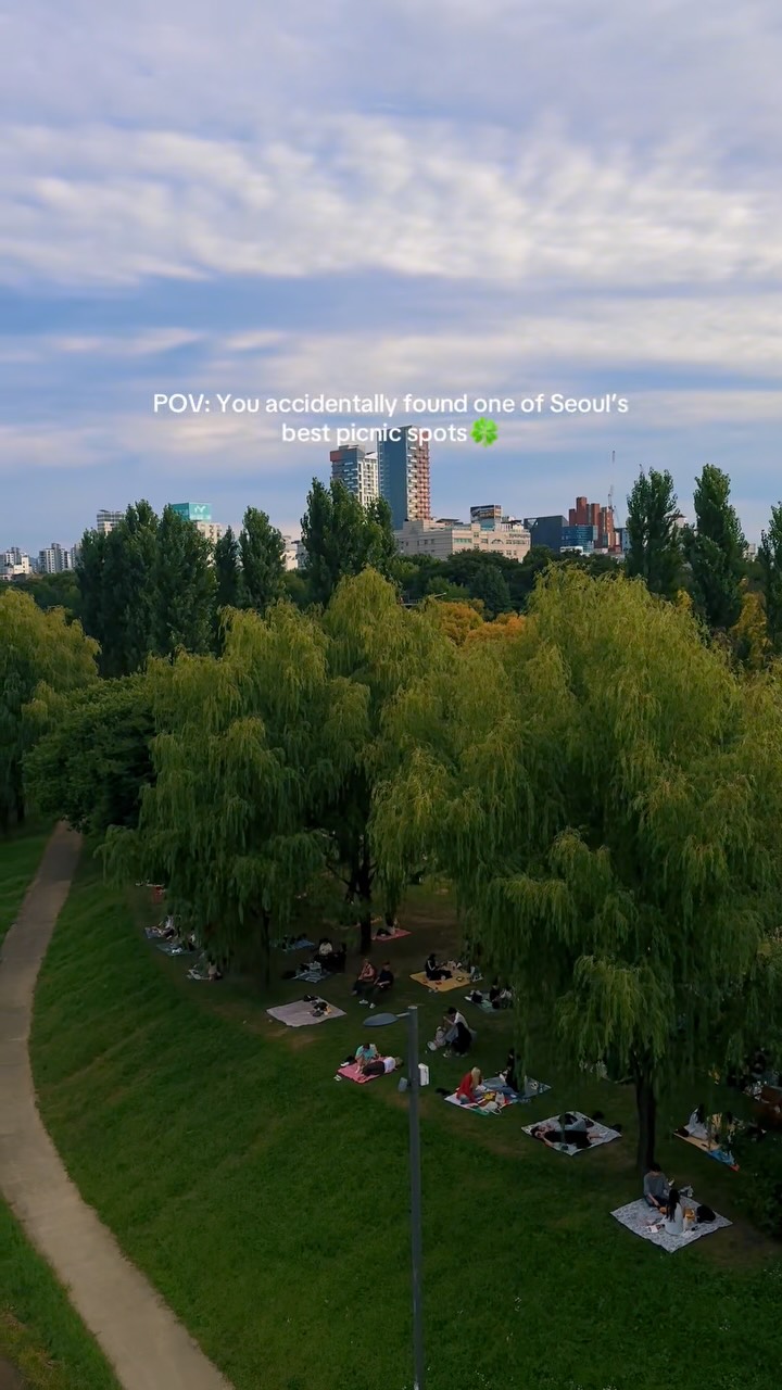 Seoul Picnic Spot for Autumn Sunset