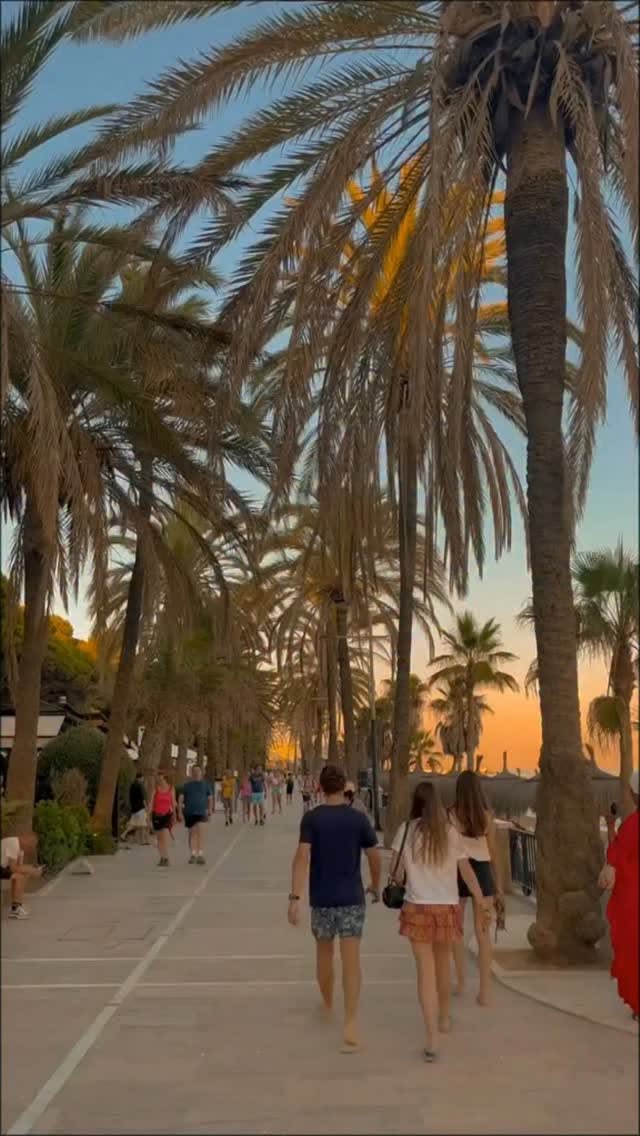 Most Beautiful French Town: Bormes-les-Mimosas