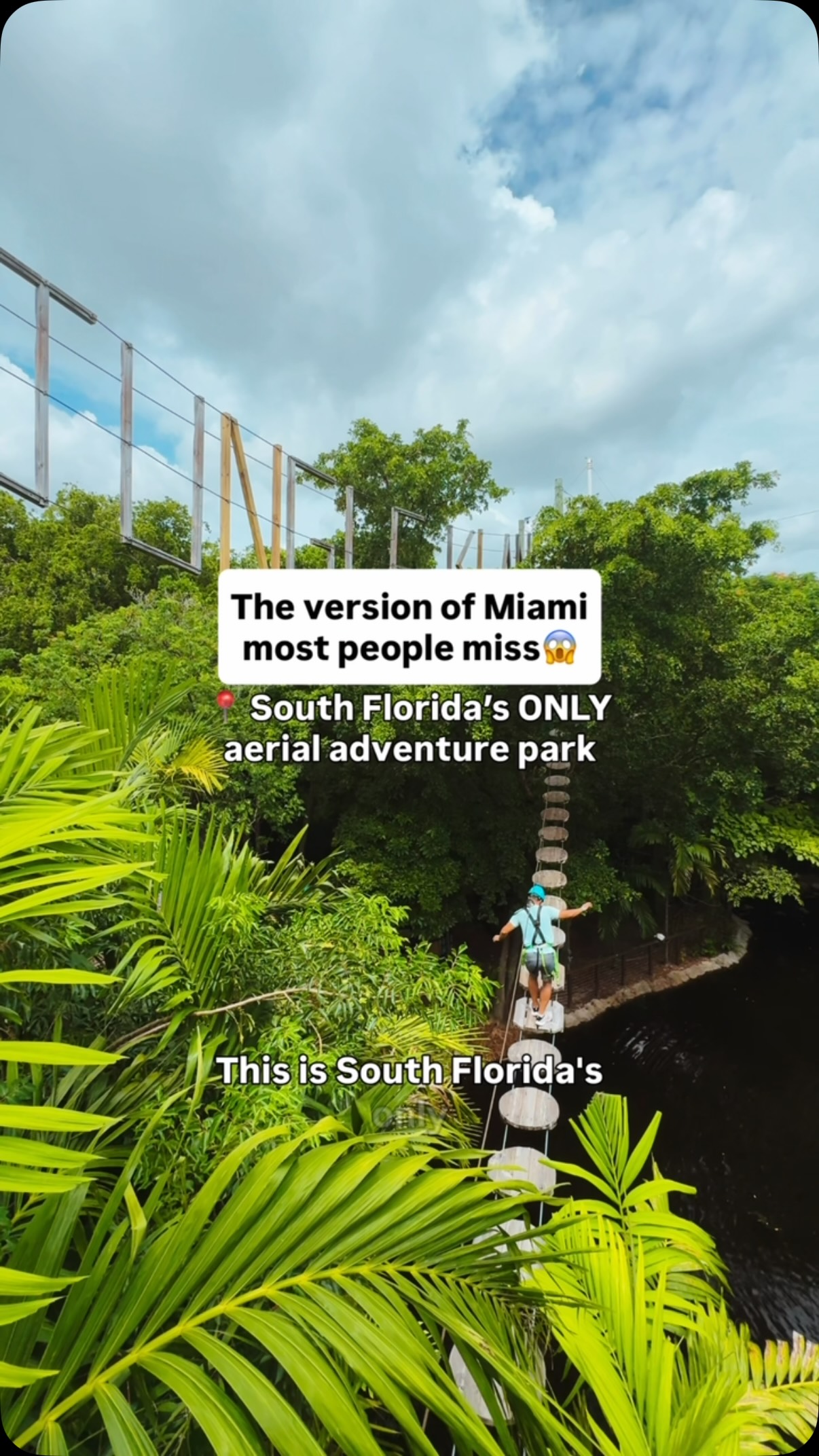 Miami Aerial Adventure Park Offers Ziplines
