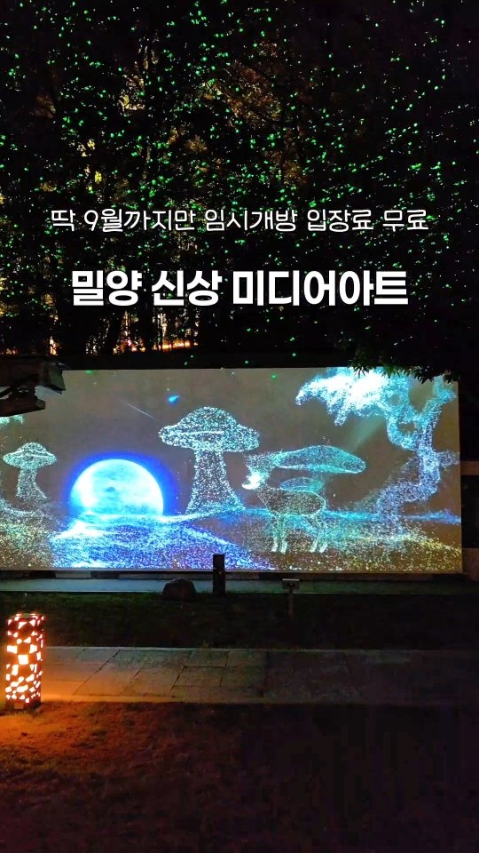 Yeongnamnu Garden: A Nighttime Spectacle