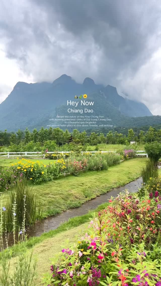 Nature Escapes in Chiang Dao