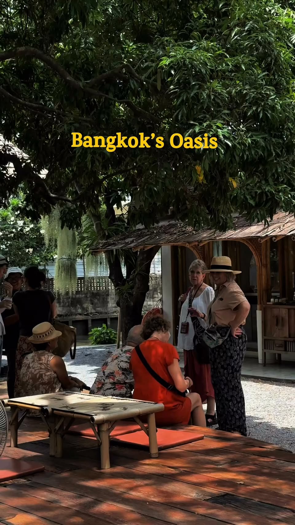Natura Café: Bangkok's Tranquil Urban Oasis