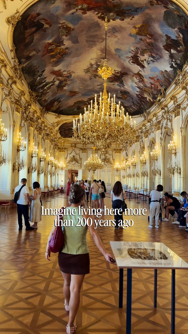 Palaces and Galleries of Imperial Vienna