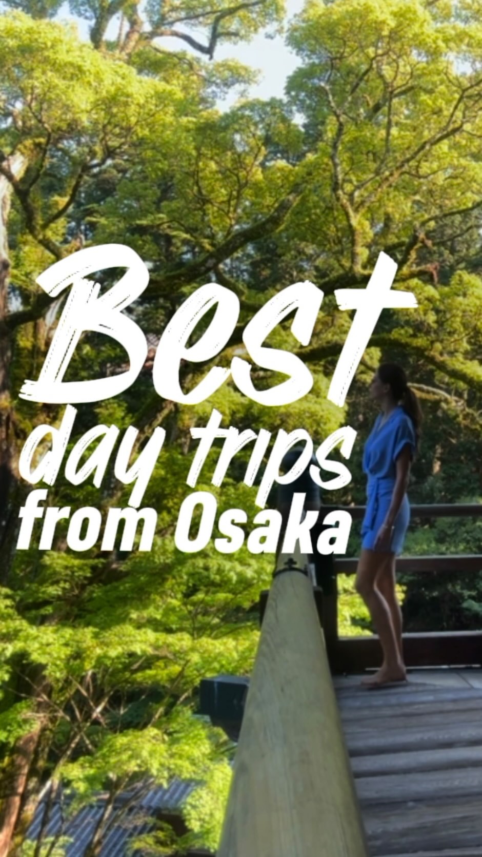 Day Trips From Osaka: Temples, Castles, And Nature