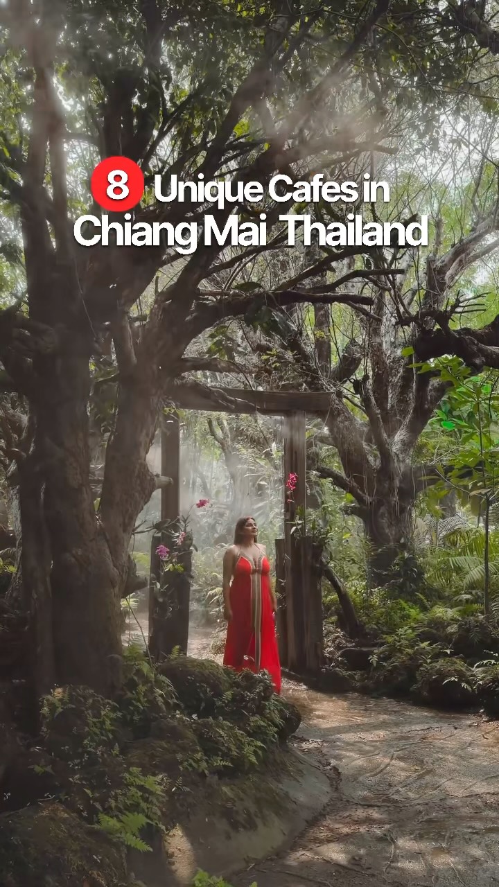 Chiang Mai's Themed Cafes Offer Unique Experiences