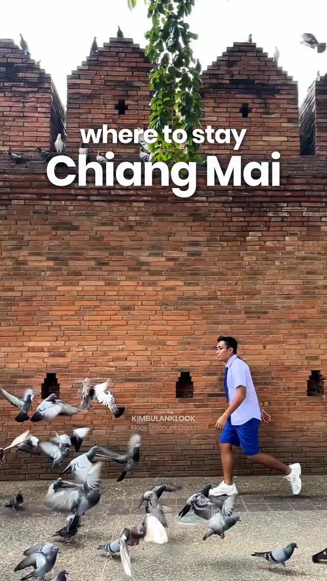 Chiang Mai Stays: Hotels, Shopping, and Elephant Sanctuary