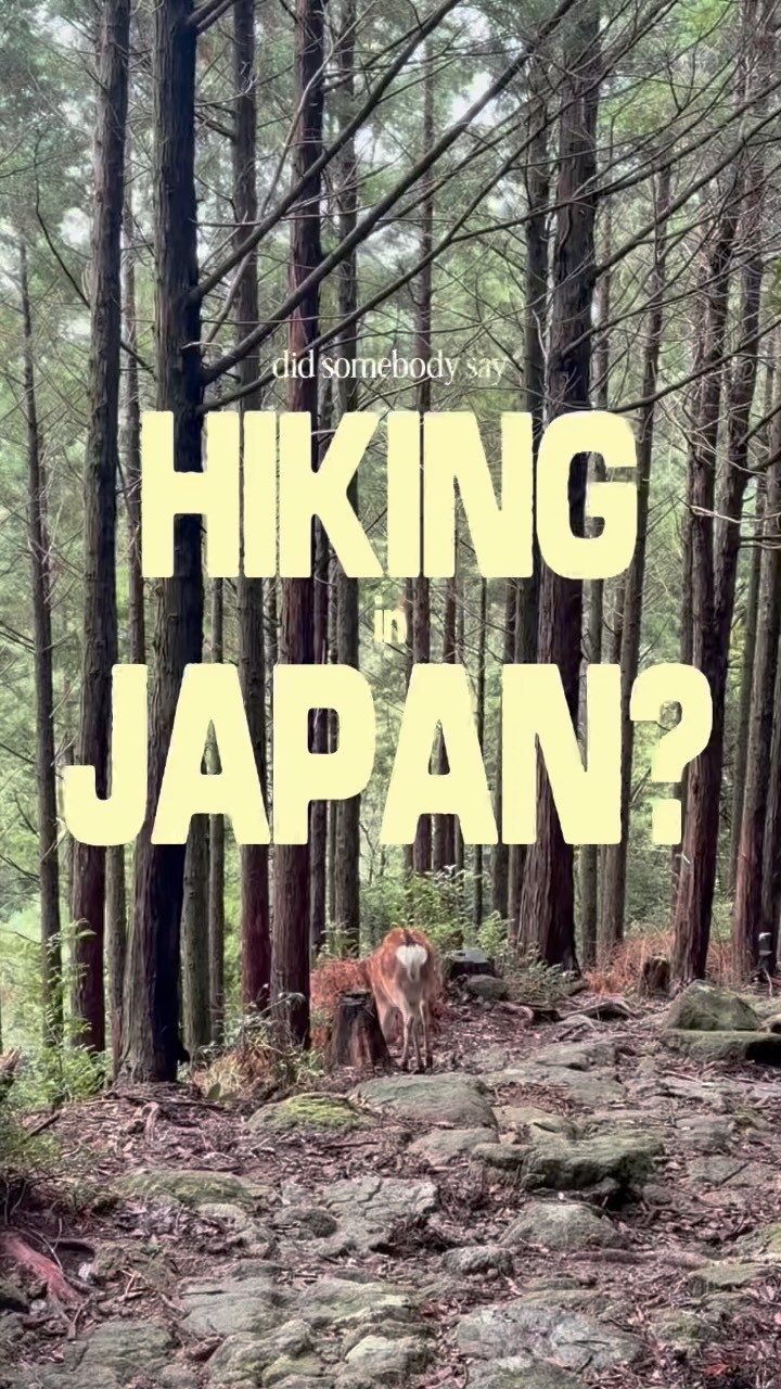 Kumano Kodo Pilgrimage Trail's Natural and Spiritual Wonders