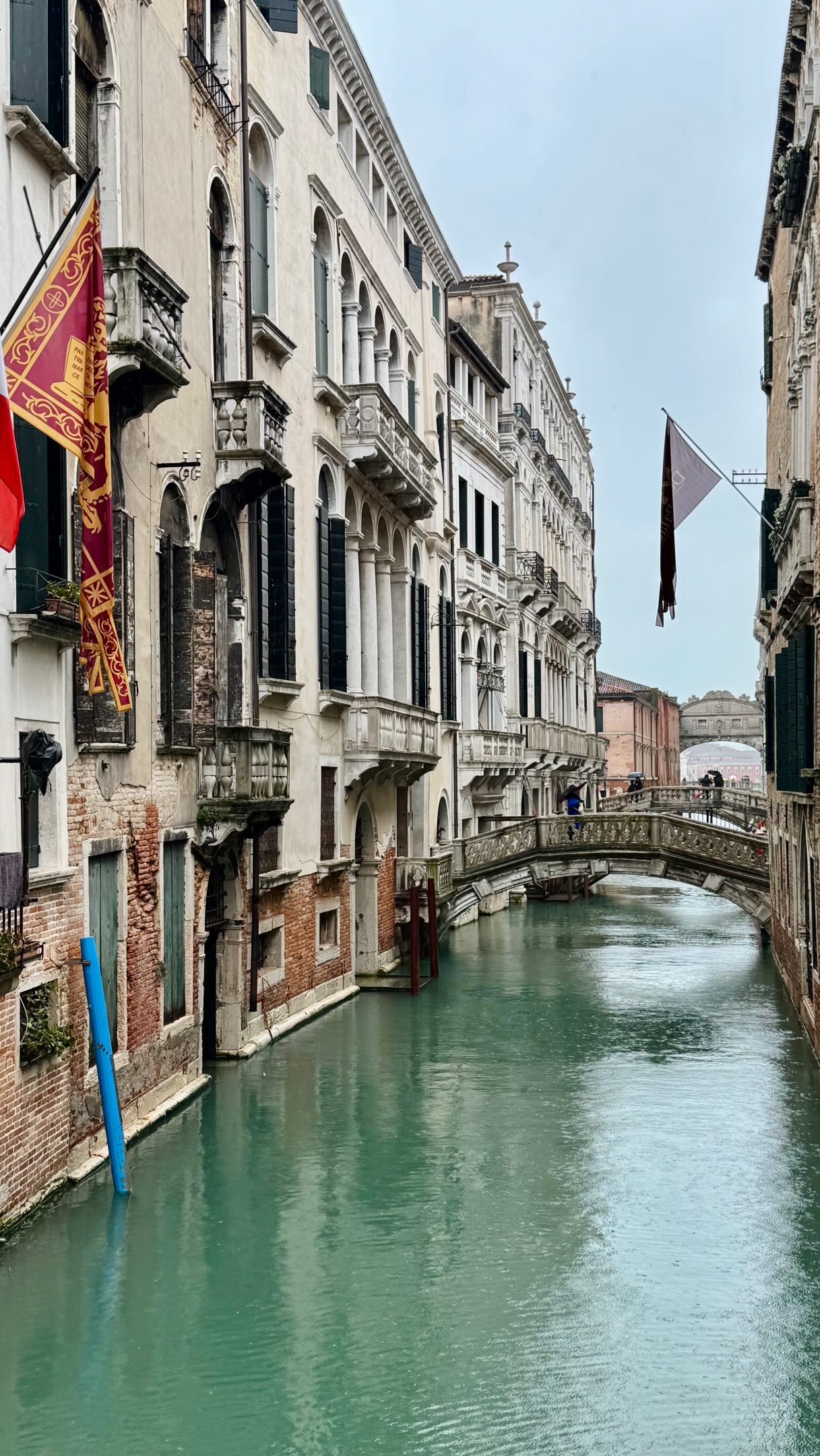 Venice's Grand Palaces and Basilica