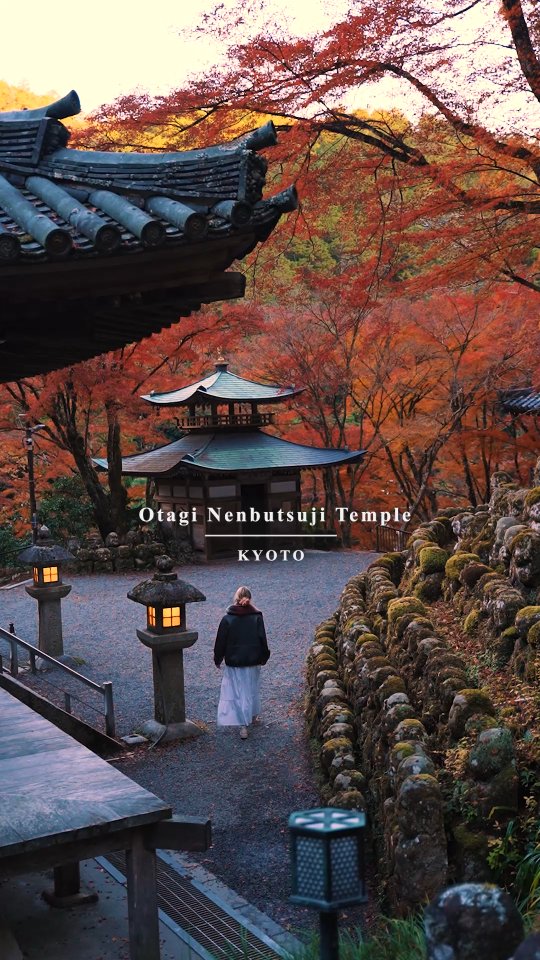 Kyoto Temples Near Arashiyama Bamboo Forest