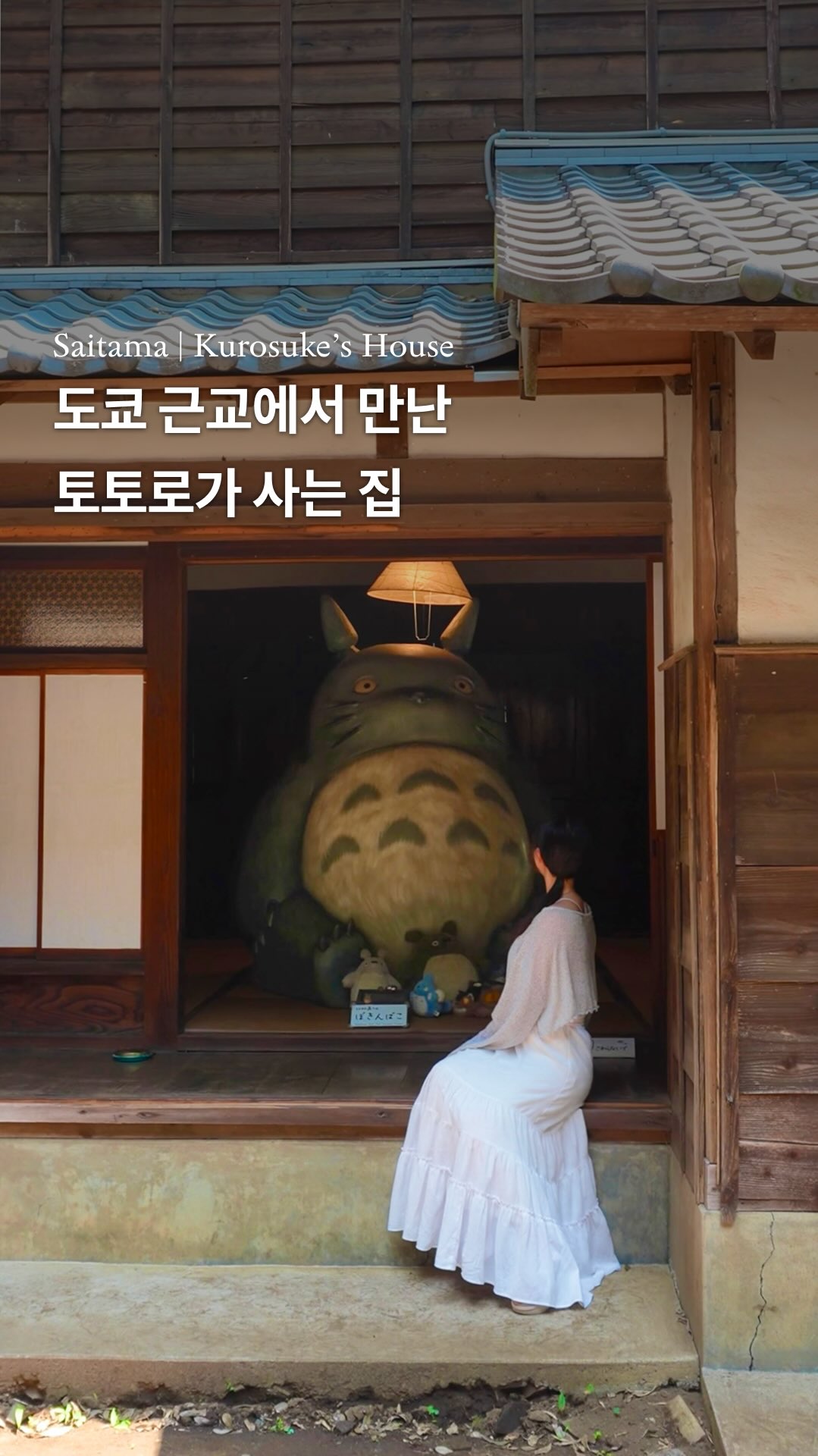 Kurosuke's House: A 'My Neighbor Totoro' Inspired Retreat