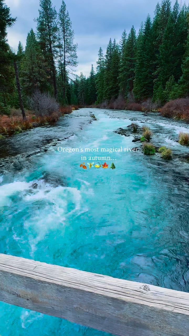 Metolius River's Enchanting Autumn Scenery And Trails