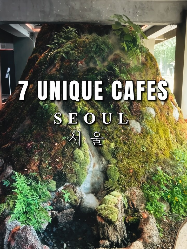 Seoul Cafes And City Guide Recommendations