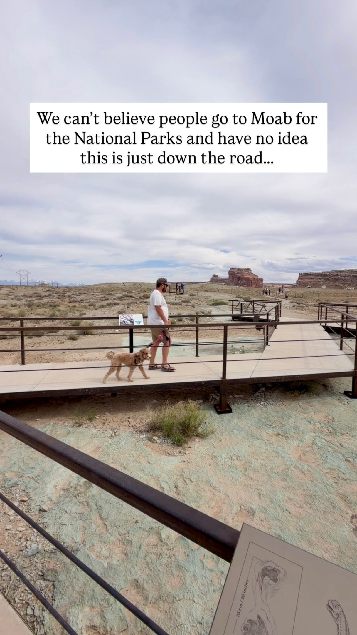 Dinosaur Tracks and Bones at Mill Canyon