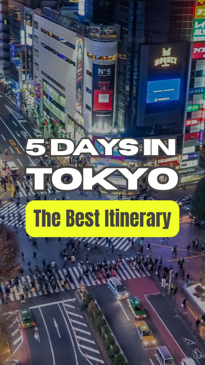 Tokyo's Top Landmarks, Food, and Pop Culture Spots
