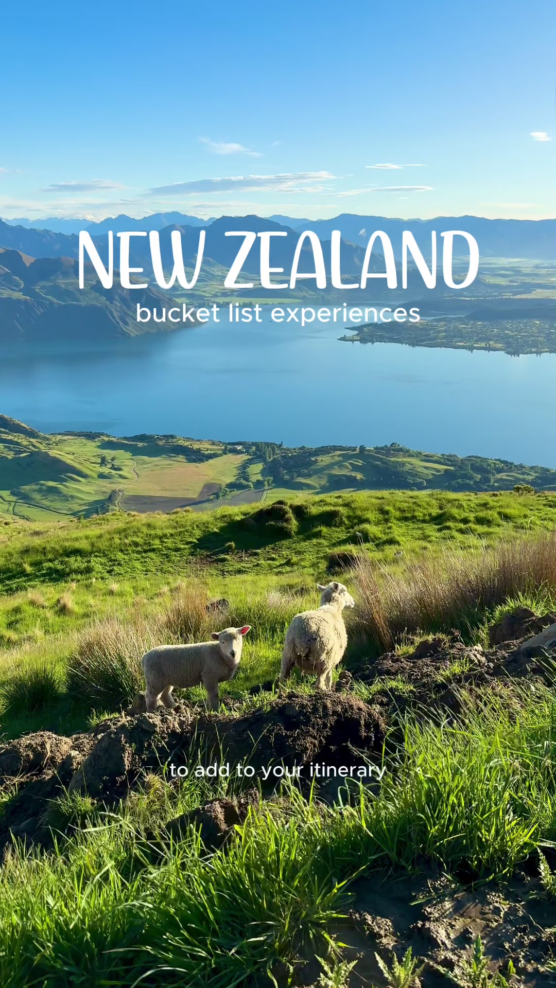 New Zealand's Top 4 Must-Do Experiences