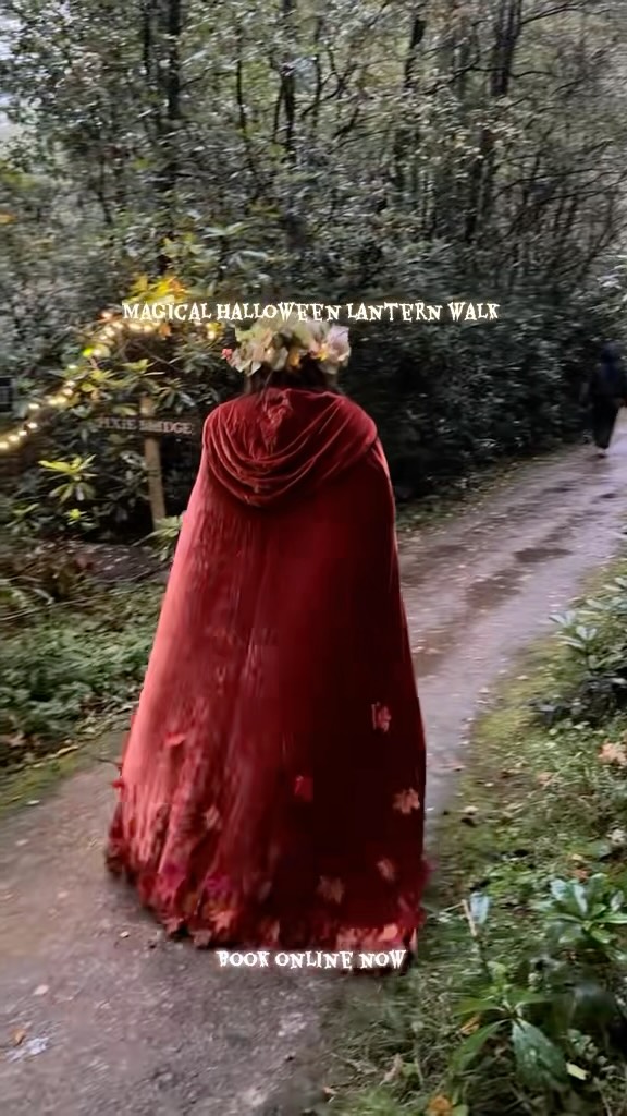 Halloween Walk Highlights Available For Booking