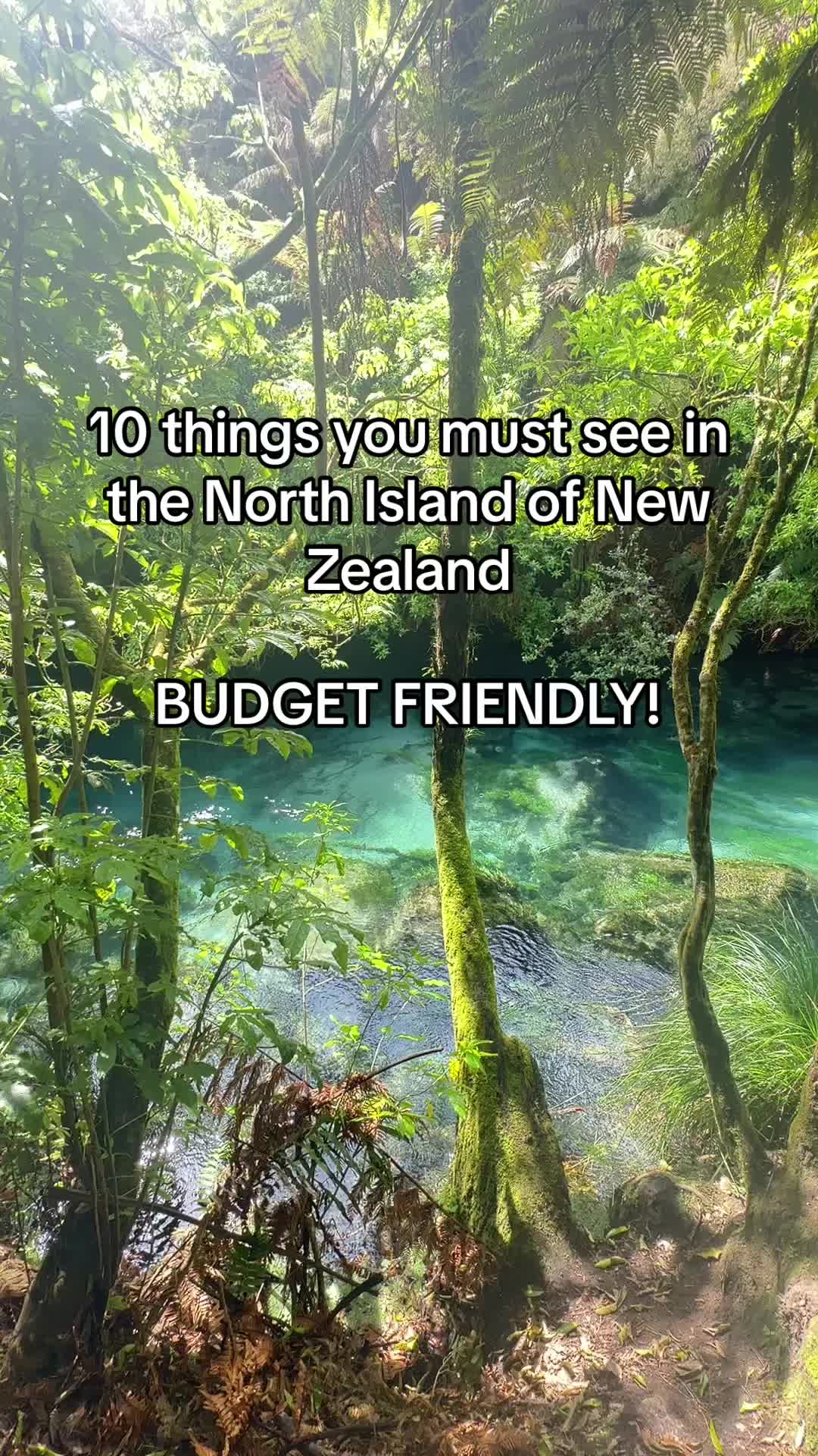 Geothermal Wonders and Waterfalls of North Island