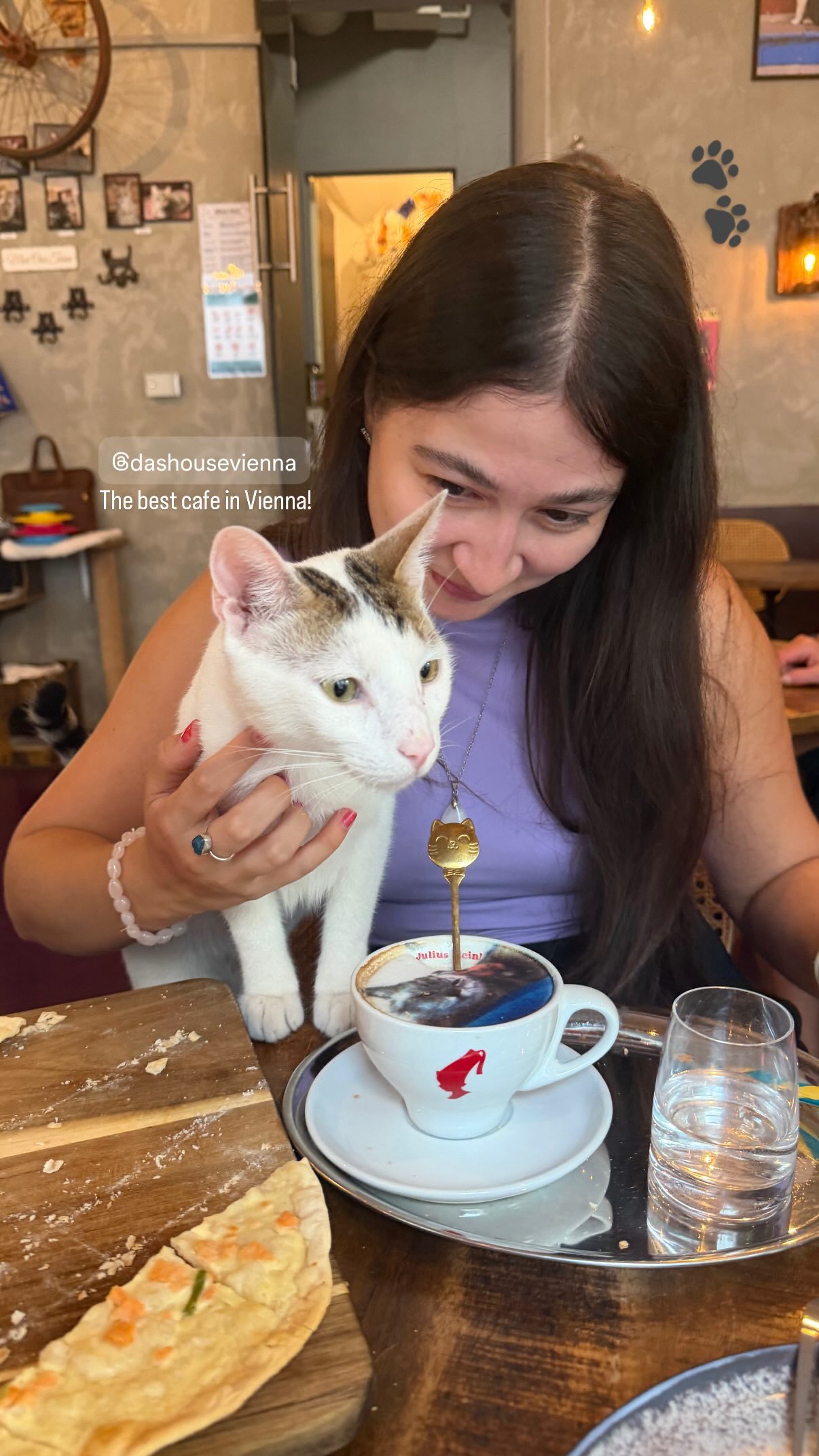Vienna Cat Cafe Adopts Felines and Features Custom Art