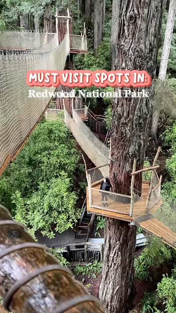 Tour Thru Tree and Trees of Mystery