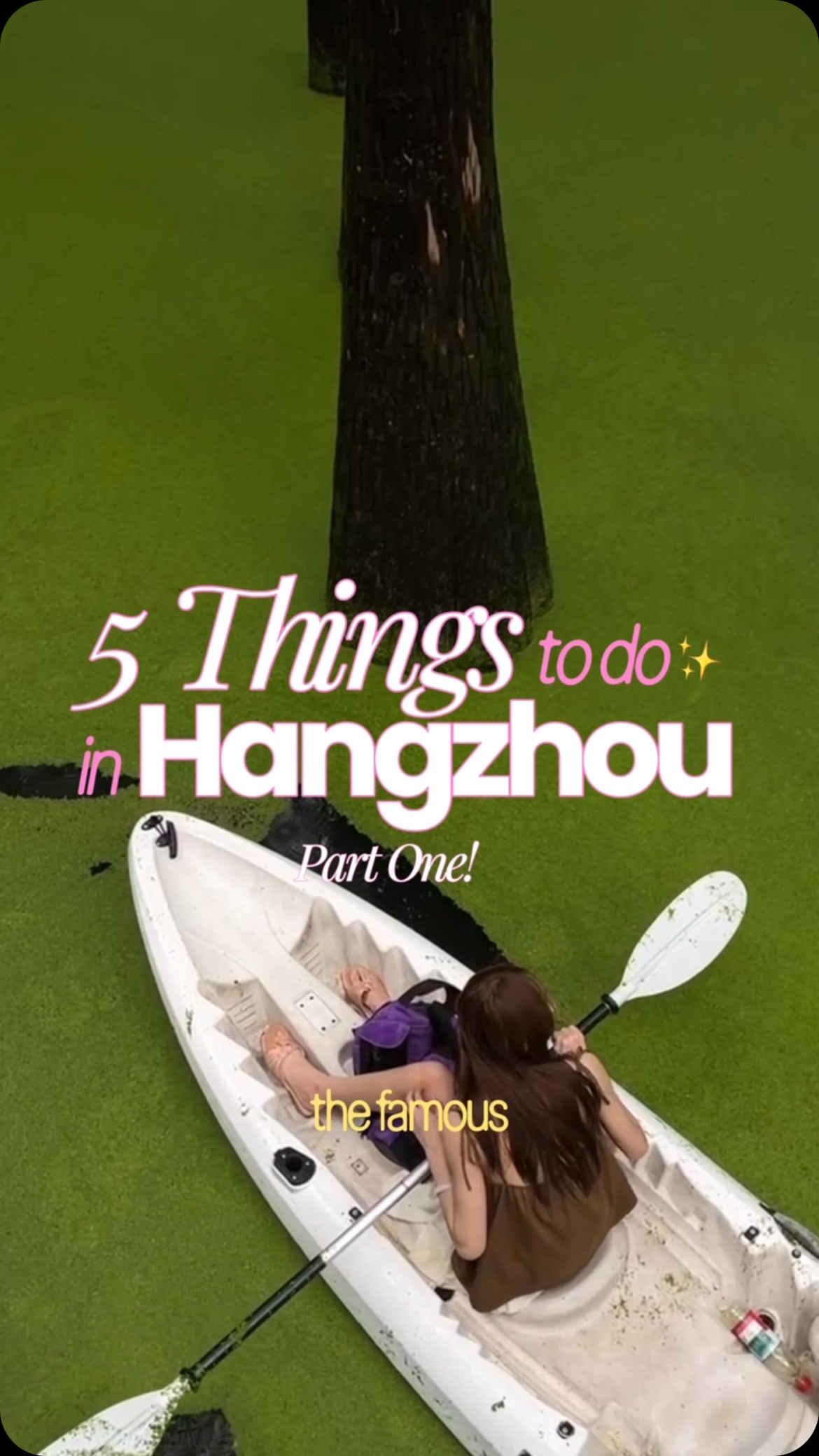 Hangzhou's Xi Lake and Wetland Park Exploration