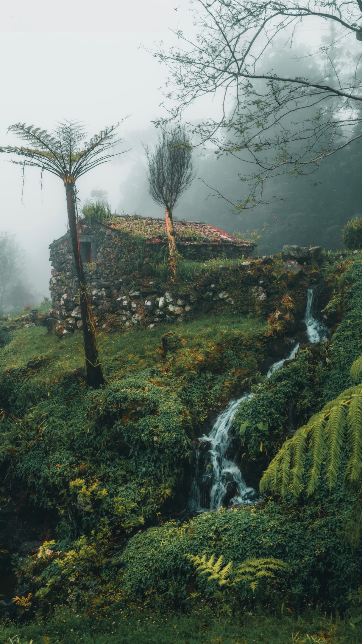 Four Scenic Destinations Feature Waterfalls and Forests