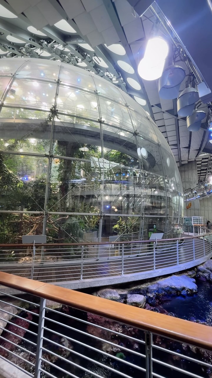 California Academy of Sciences Features Indoor Rainforest