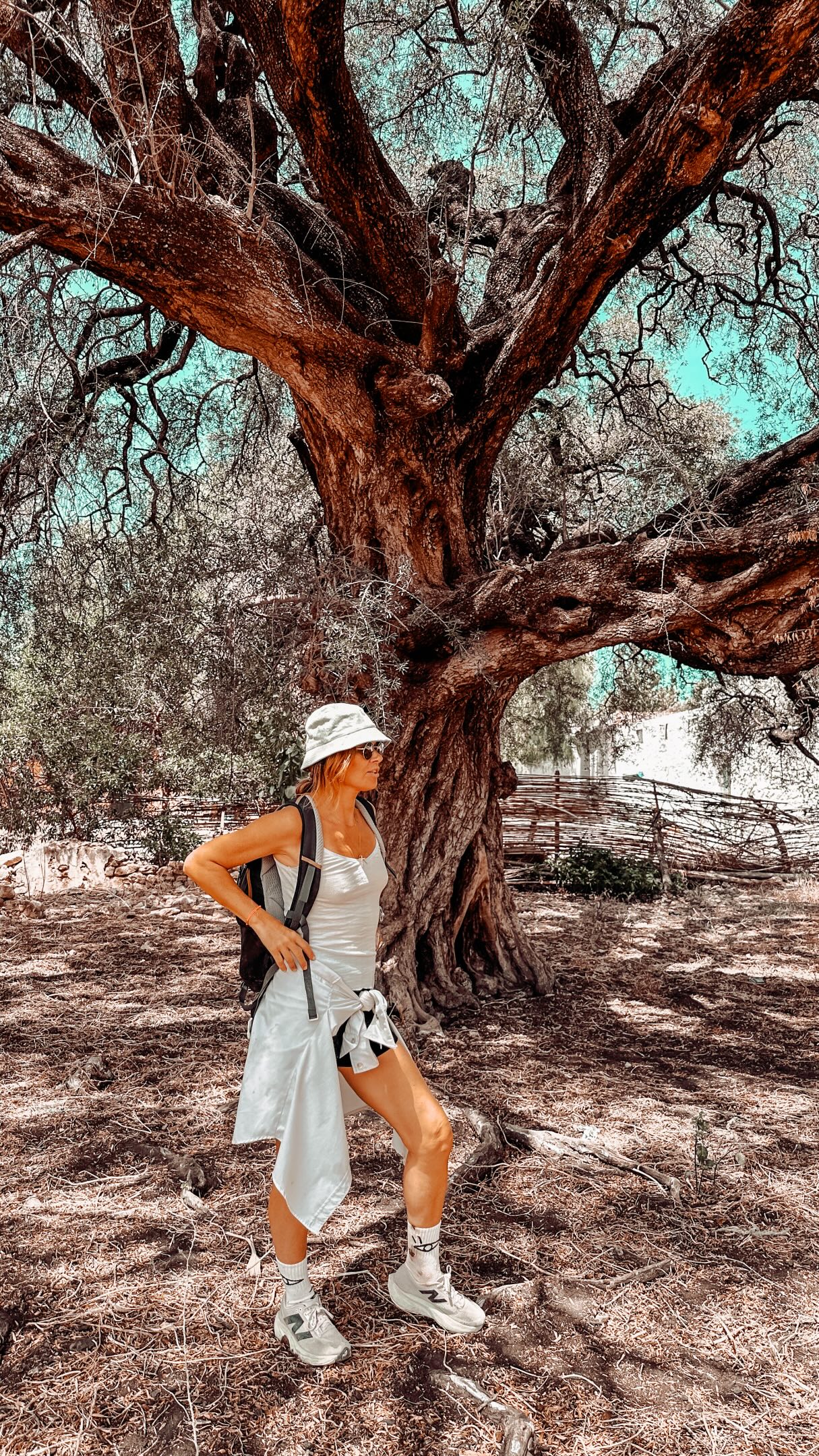 Moroccan Oasis Hike And Authentic Souk Near Essaouira