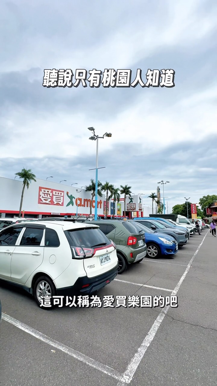 Taoyuan Shops For Shopping and Dining
