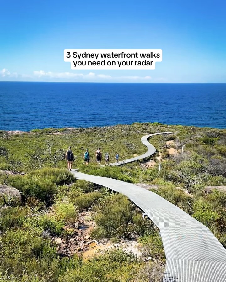 Sydney's Best Coastal Walks