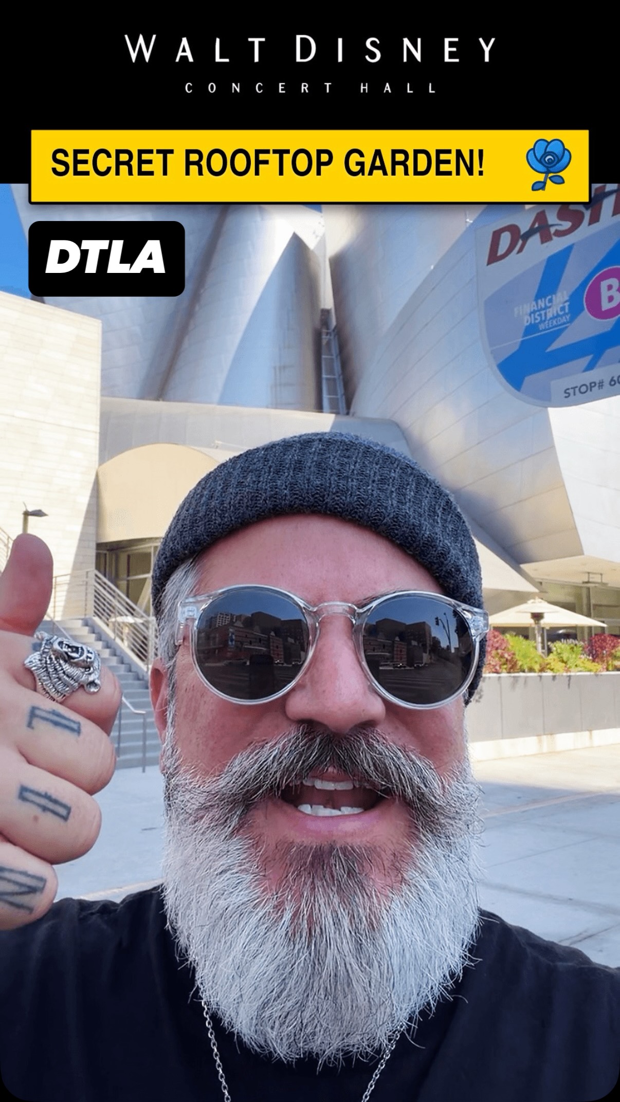 Rooftop Garden Escape At Walt Disney Concert Hall