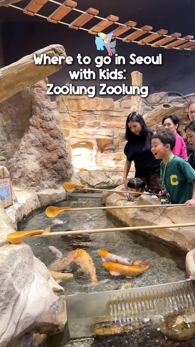 Zoolung Zoolung: Kid-Friendly Indoor Zoo in Seoul