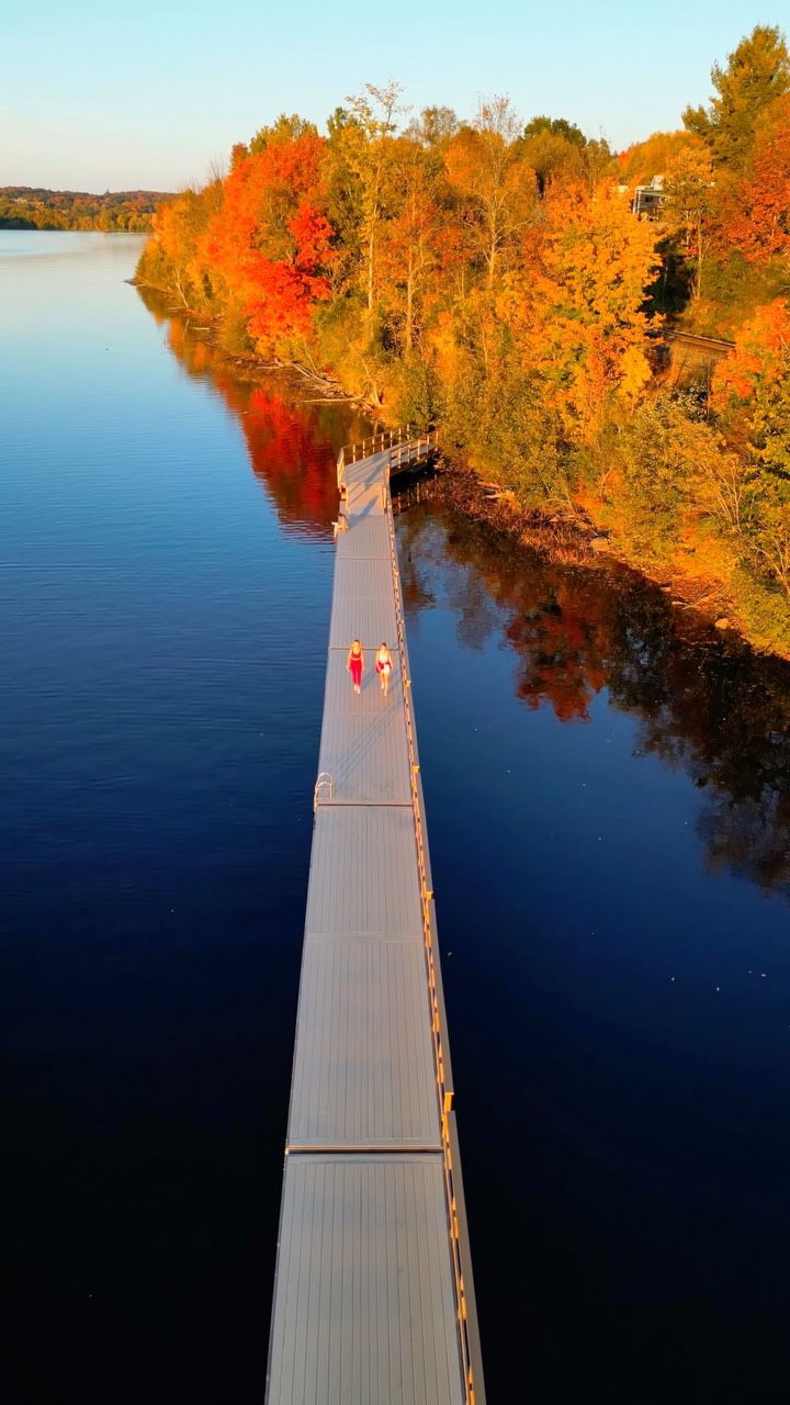 Muskoka's Fall Wonders: Trails, Views, and Eateries