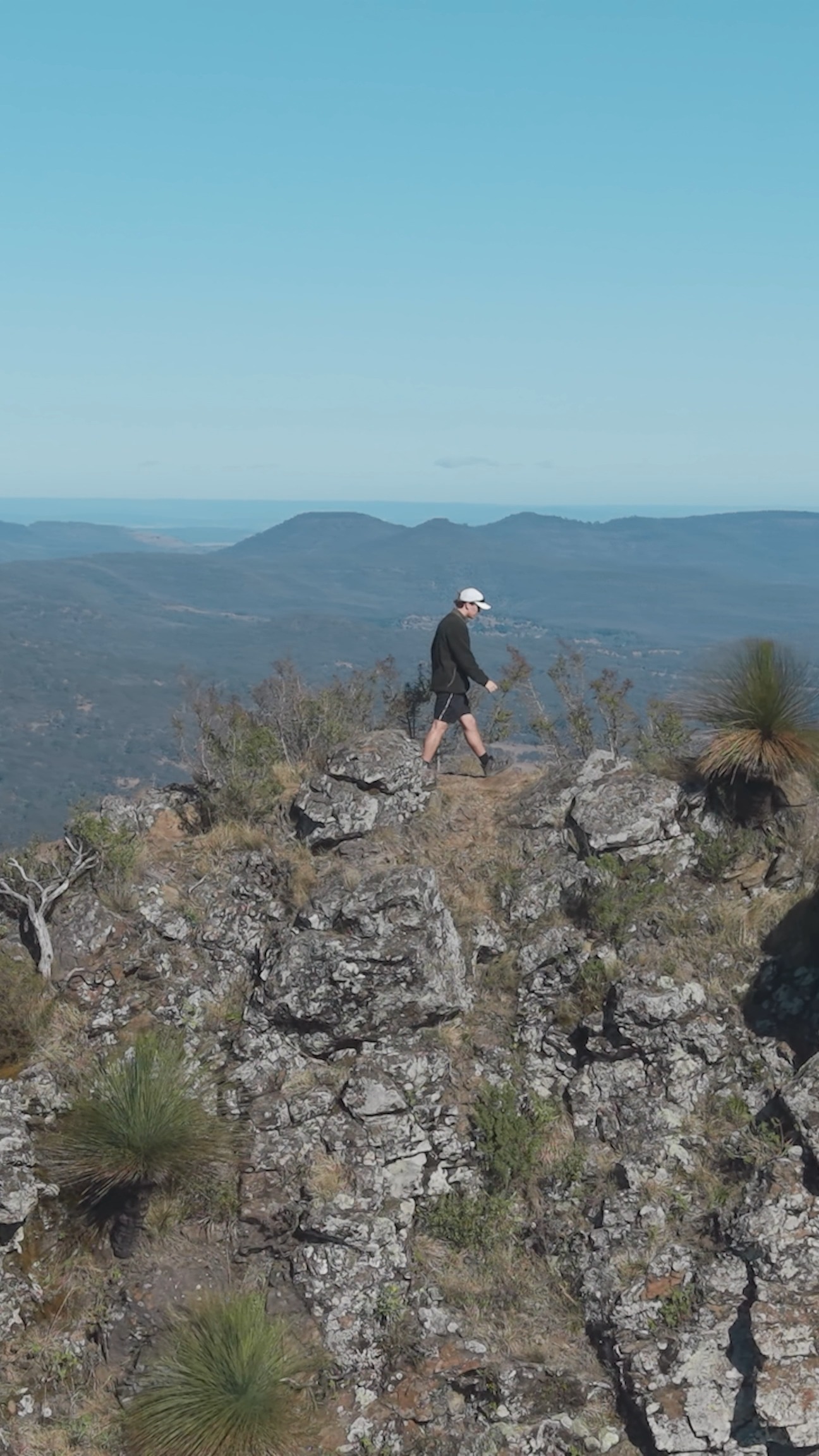 Scenic Rim Hikes Offer Rainforest Trails