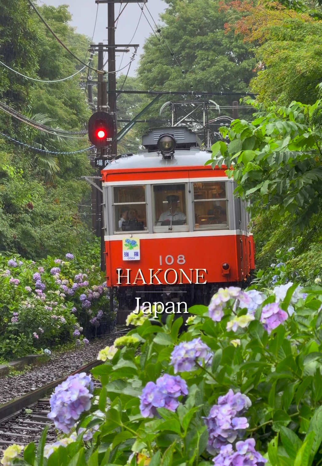 Scenic Hydrangea Train Through Hakone's Lush Landscapes