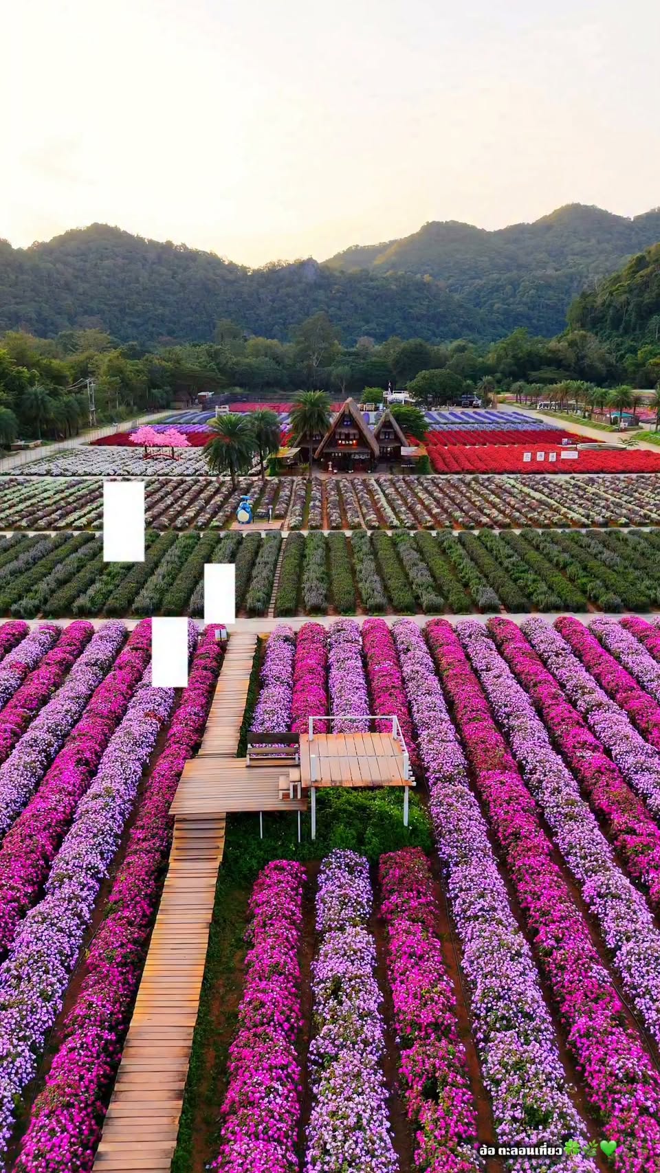 Flower Park Opens For The Season