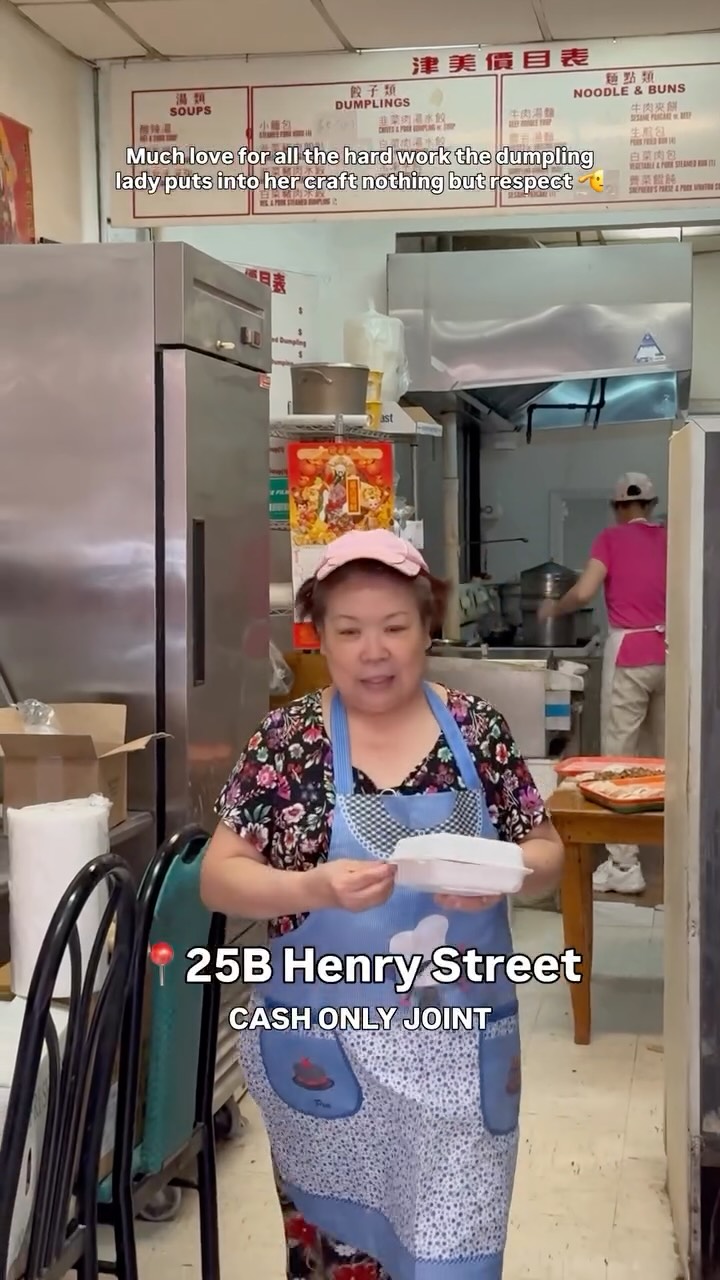 Jin Mei Dumpling's Legendary Fried Dumplings