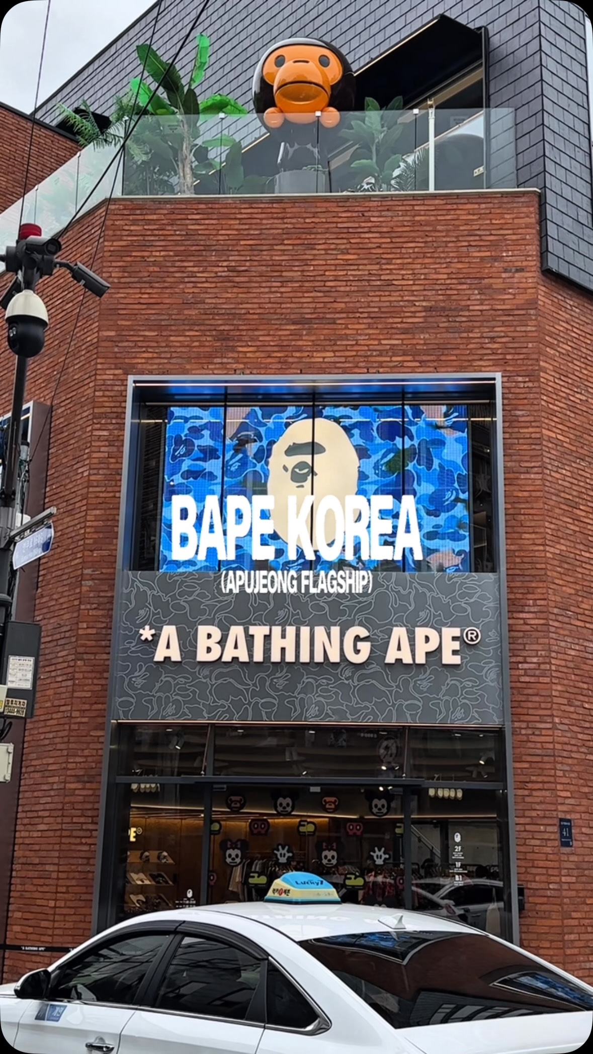 BAPE Store In Cheongdam