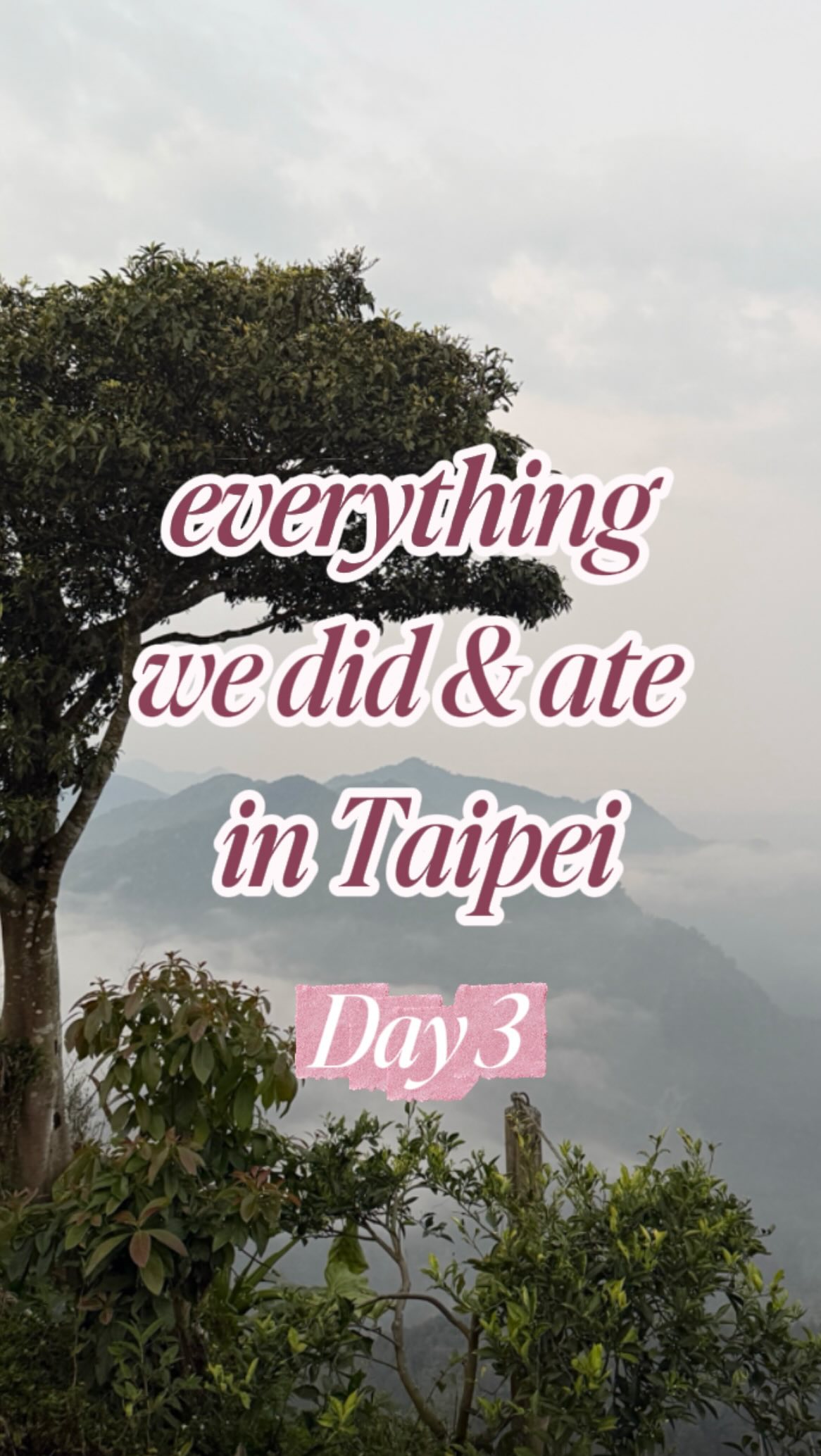 Taipei, Chiayi, and Alishan Adventures