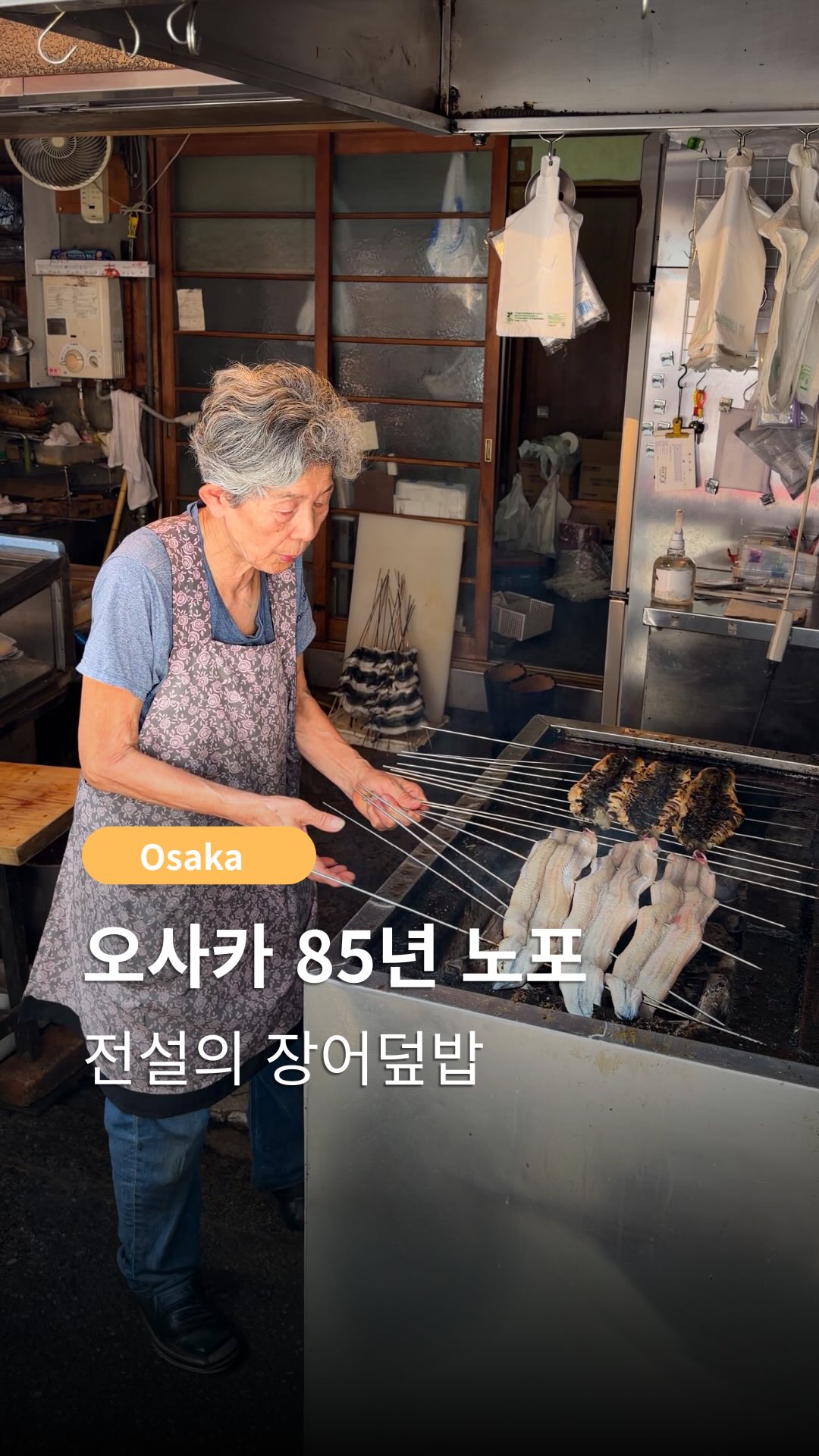 Osaka's Legendary Eel Over Rice Restaurant