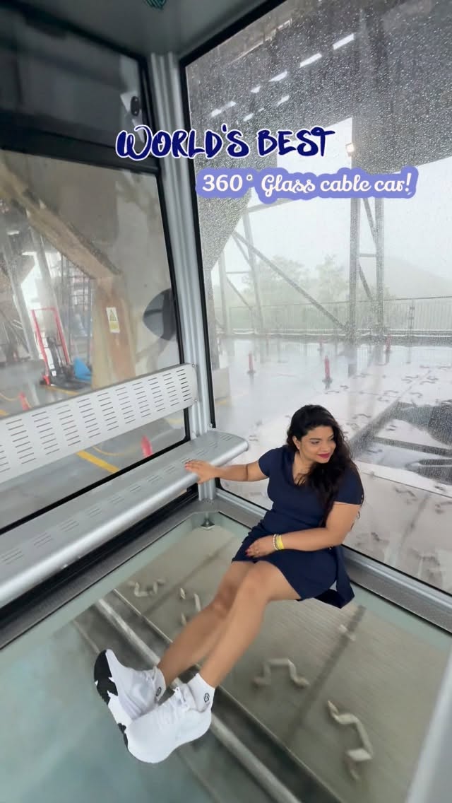 Panoramic Cable Car and Buddha Views