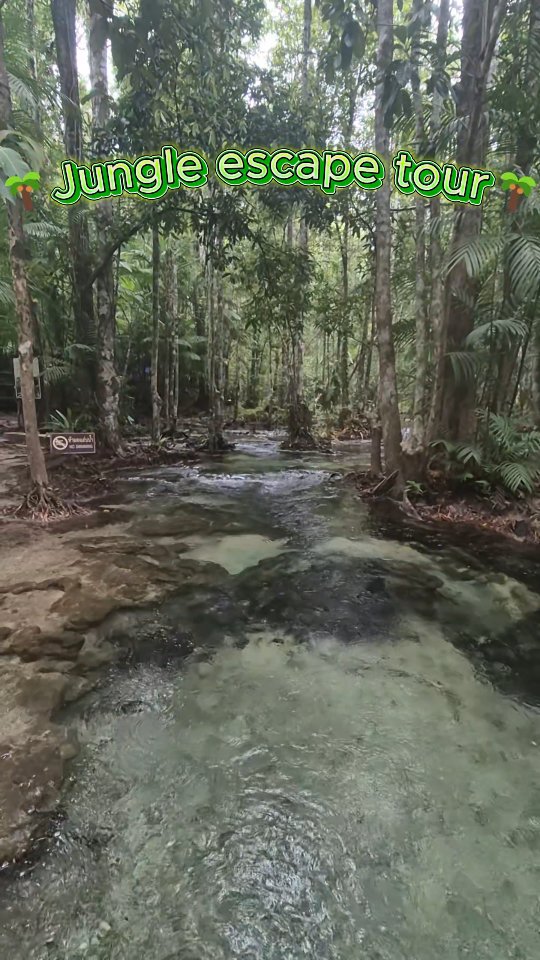 Krabi Jungle Escape Tour: Emerald Pool, Hot Springs, Temple