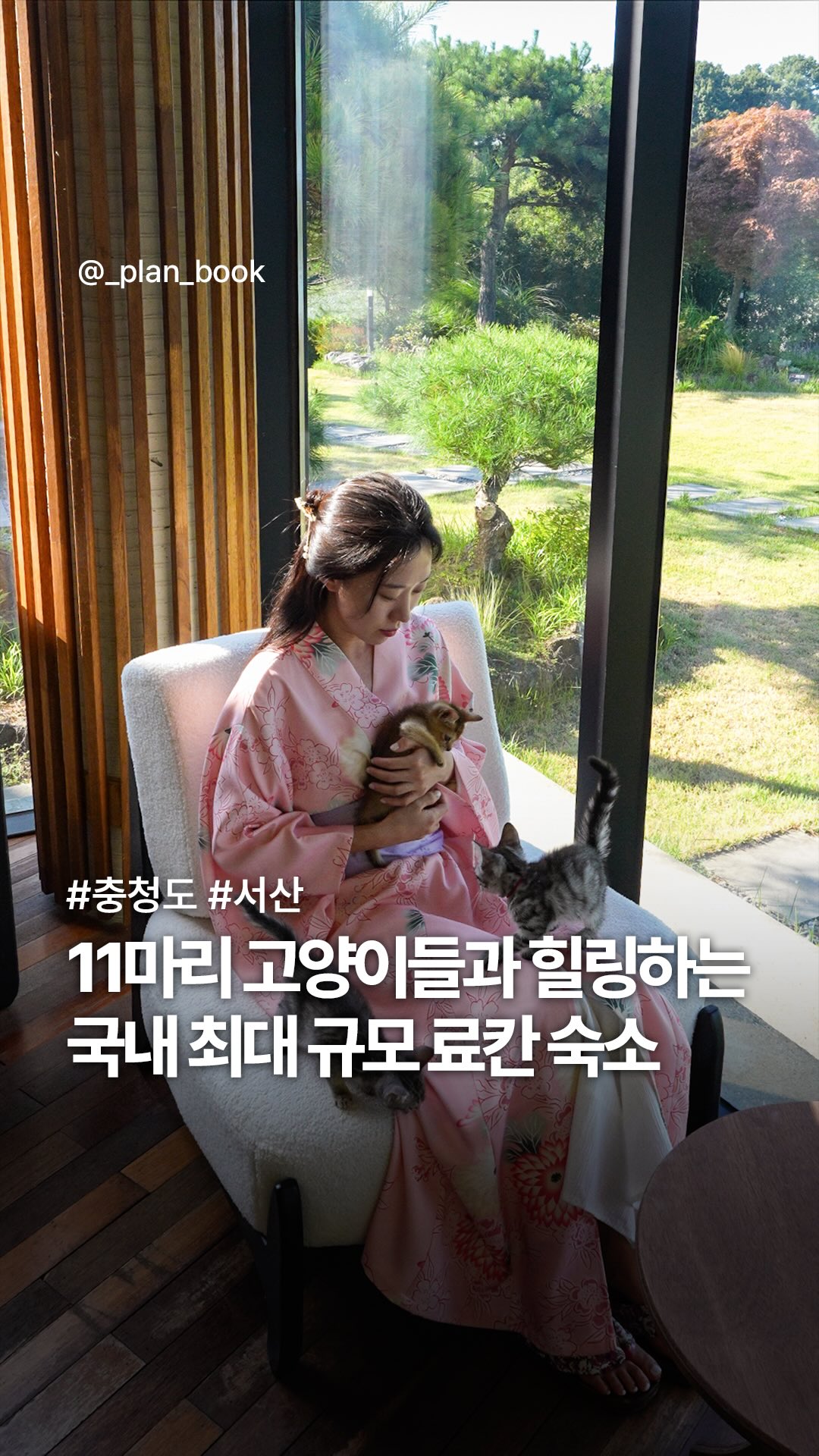 Seoraon: A Japanese-Inspired Stay with Cats