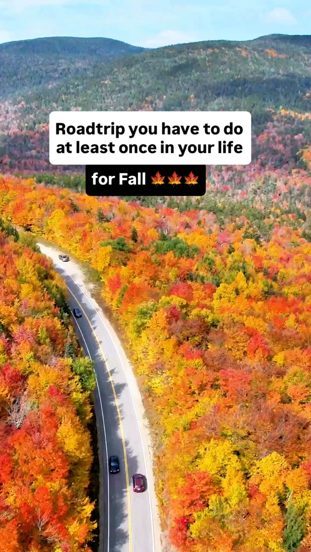Smoky Mountain Family Road Trip Adventure
