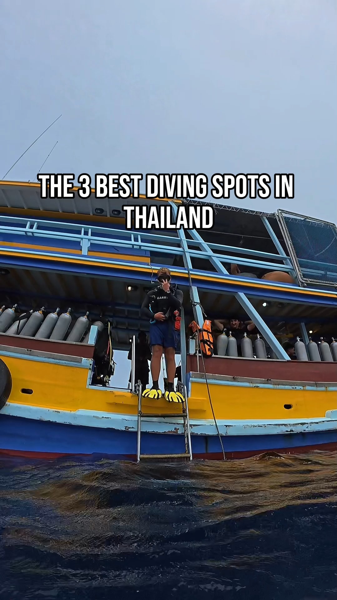 Thai Dive Sites: Similan, Koh Tao, and Richelieu Rock